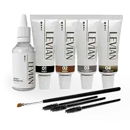 Набор краски Levian №1, (4 краски, оксид, щёточки, кисть), 1 шт.