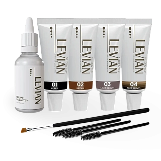 Набор краски Levian №1, (4 краски, оксид, щёточки, кисть), 1 шт.